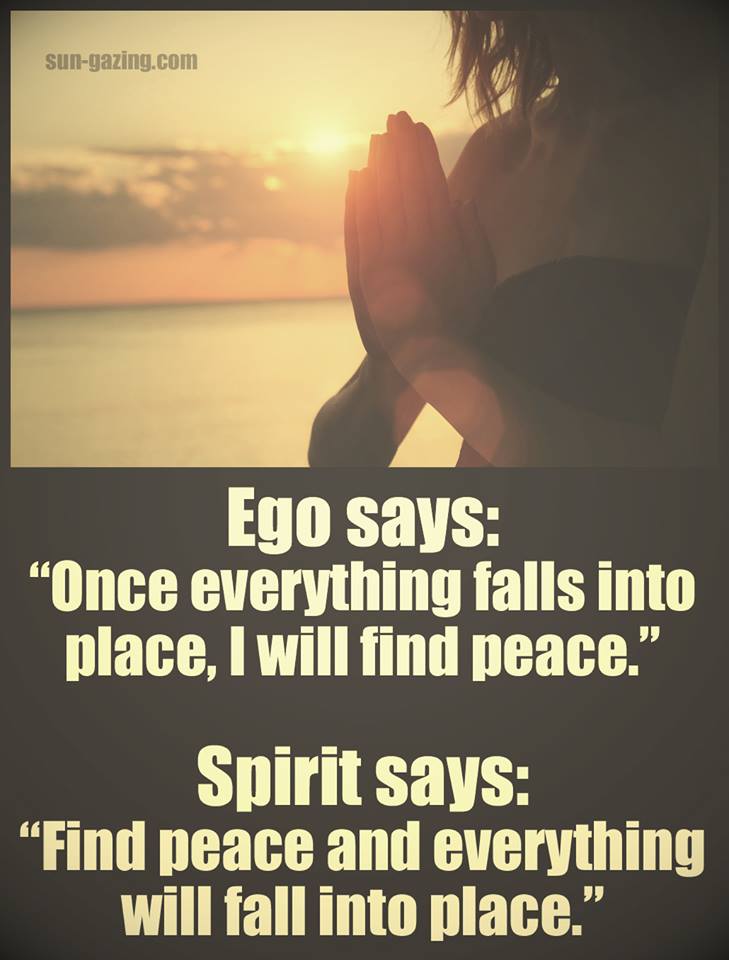 12803209_786469661507865_54752962511803375_n