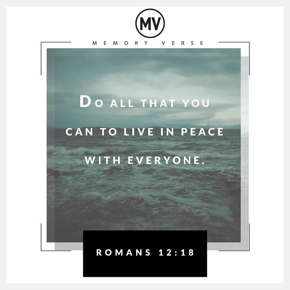 28575730_10156191165124704_5678765214279925760_n