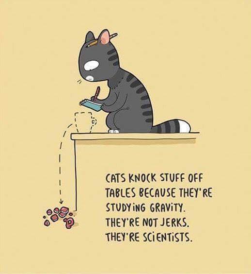 28660941_2125298670824466_1508927211819591443_n