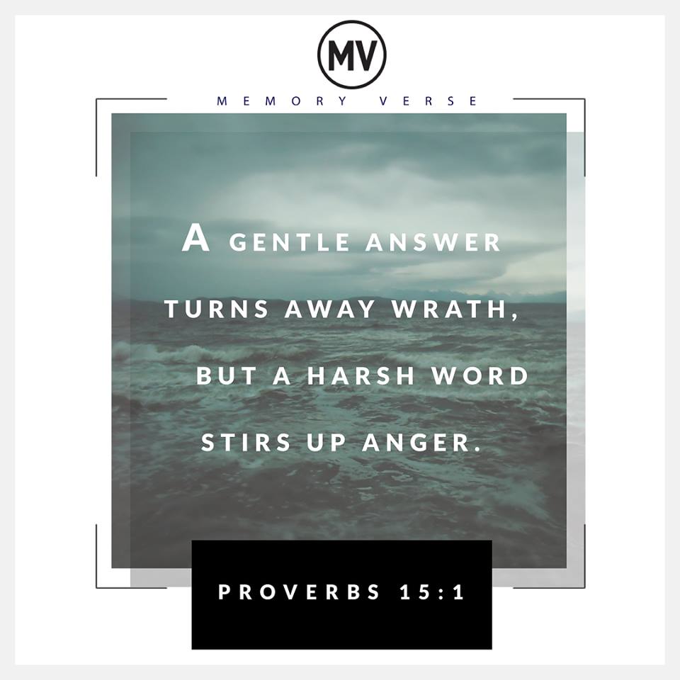 28685423_10156191165044704_7098318932867547136_n