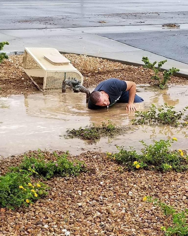 28795100_10156192084939704_2227478637953679360_n