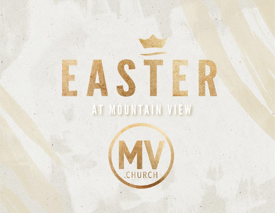 29497572_10156242052034704_504375698847119452_n