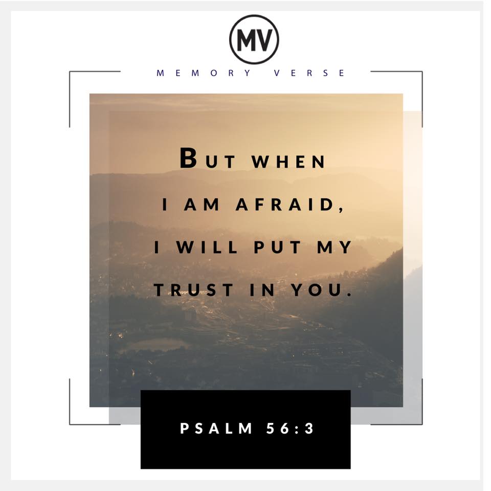 30728243_10156306319519704_2917840157715464192_n