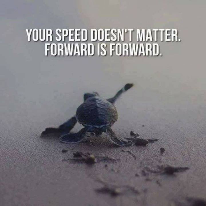 32313026_1261960360601947_2358375226657472512_n