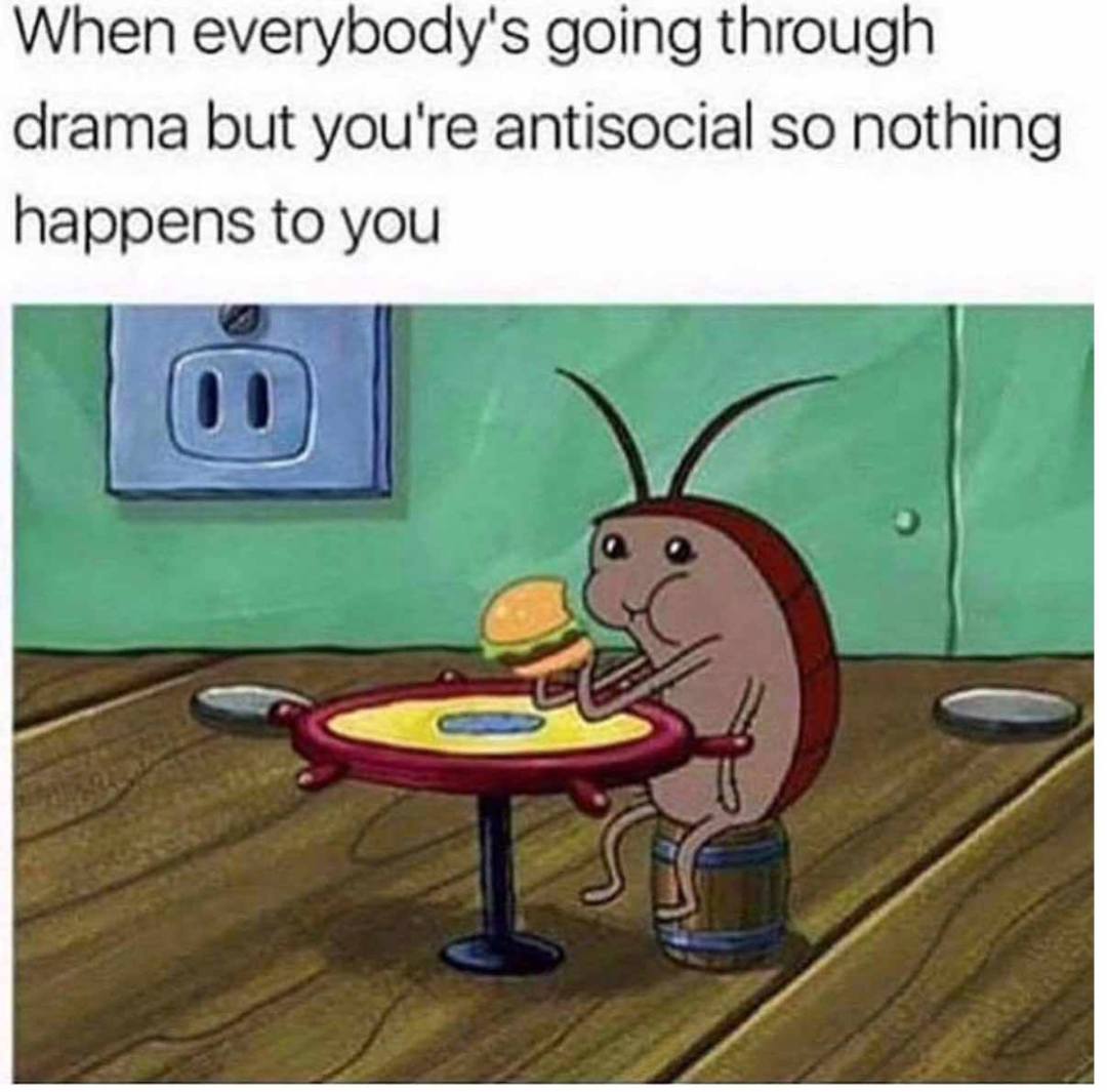 33074213_2435838903412531_485041196587024384_o