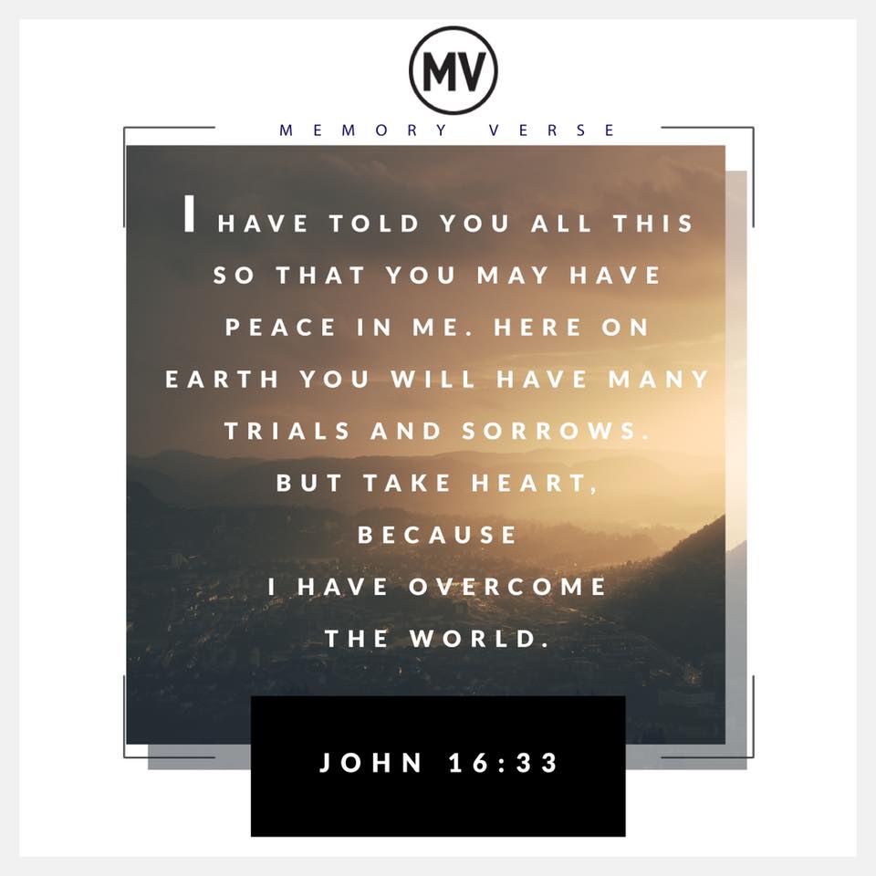 35160633_10156438887559704_6880839269515001856_n