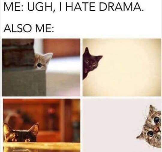 36223758_10212251794269898_1414662184629174272_n