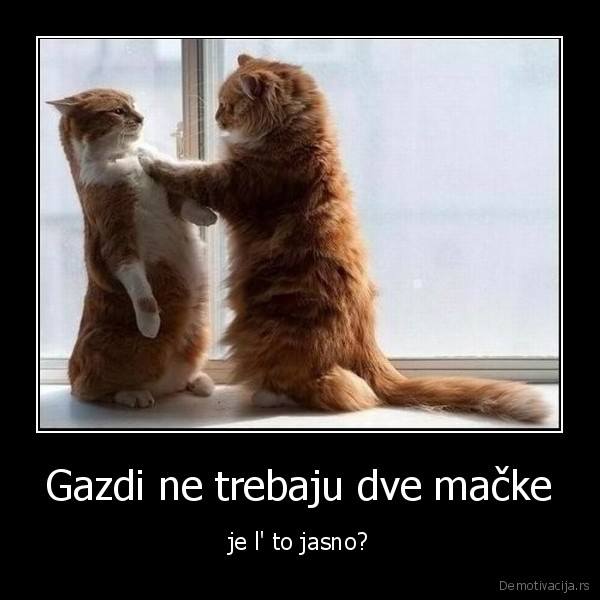 969337_572994962745403_1790051400_n