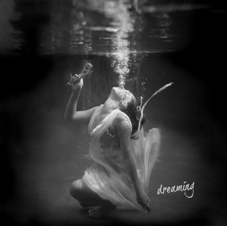 1123865559pizapw1498538030