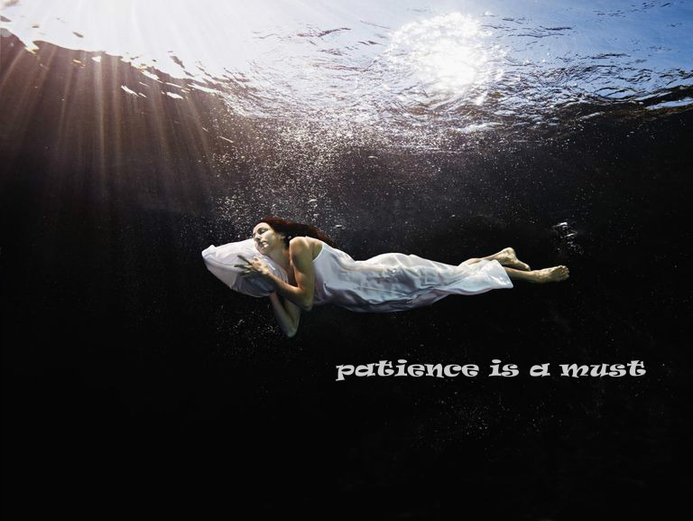 1123865559pizapw1498578446