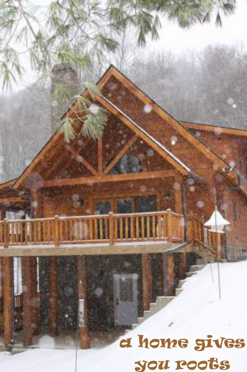 1123865559pizapw1498622581