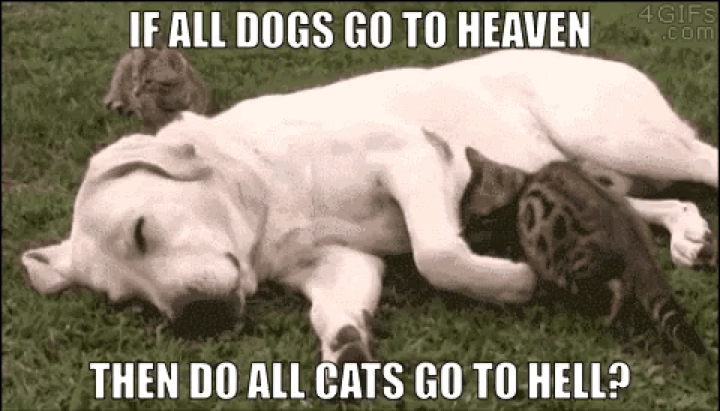 31501209_10215147062646288_8567521163431903232_n