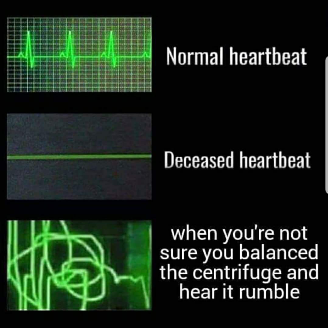 35329059_10216784957806147_906494732341870592_o