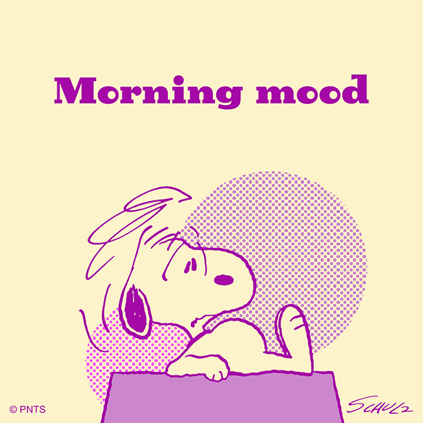 36229635_2202528283131249_5538451660671549440_n