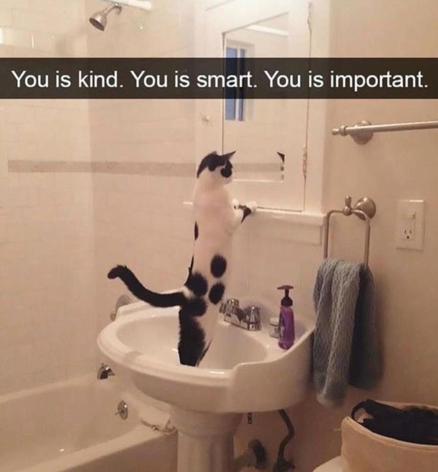 36379036_2119234438319013_3271025037976535040_o