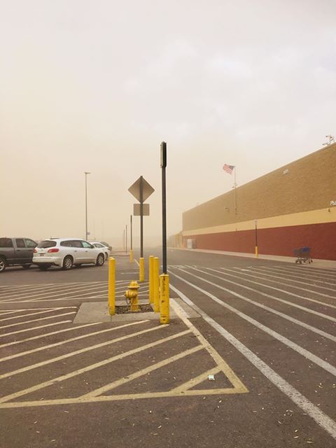 36736116_10215596711087218_2034872697875333120_n