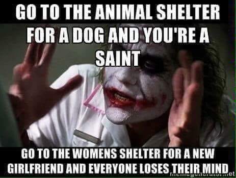 37774457_276600223117299_658380020749697024_n