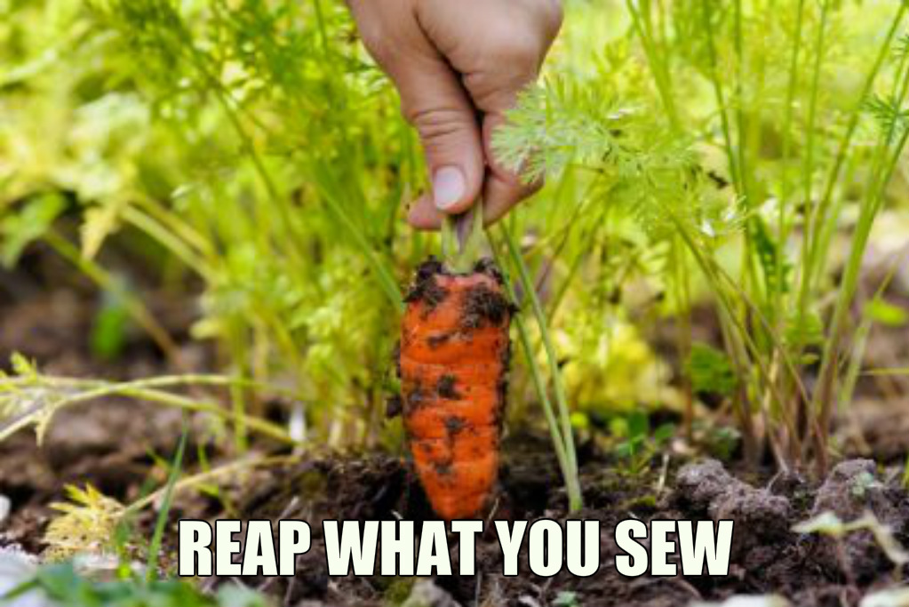 pizap.com15308881422001