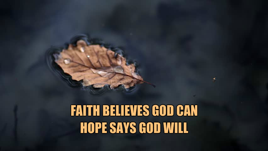 pizap.com15320570616391