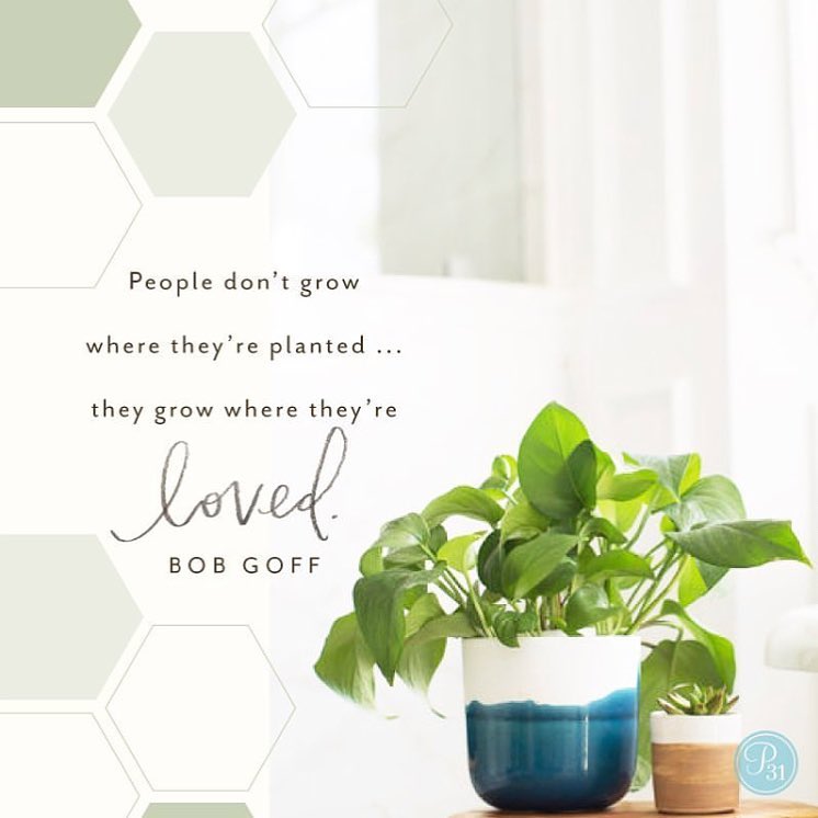 38754425_10157660624503242_1360339683082502144_n