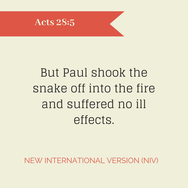 To our dearest anita,1 (3)