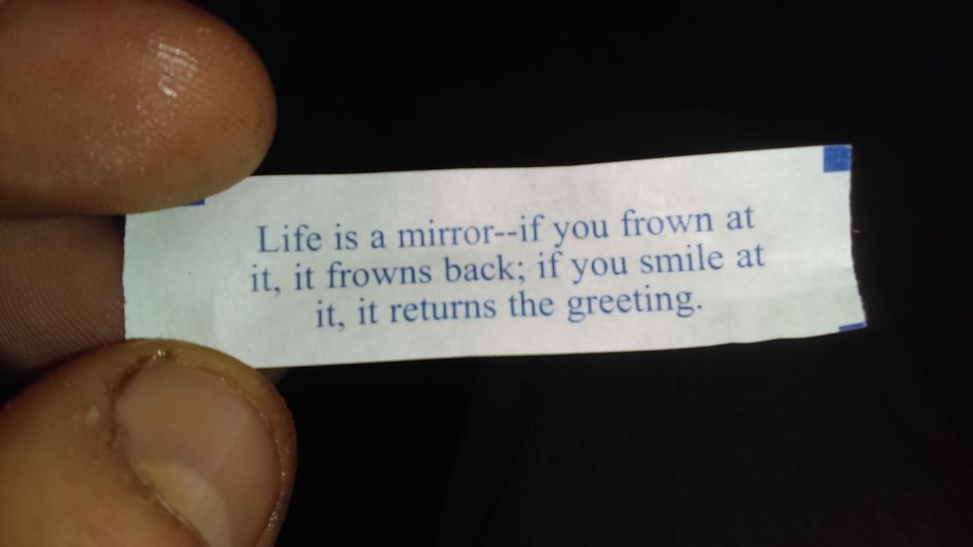 16819456_736627973159469_60031667224758194_o