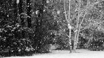 blog-post-12-14-2016-snow-day