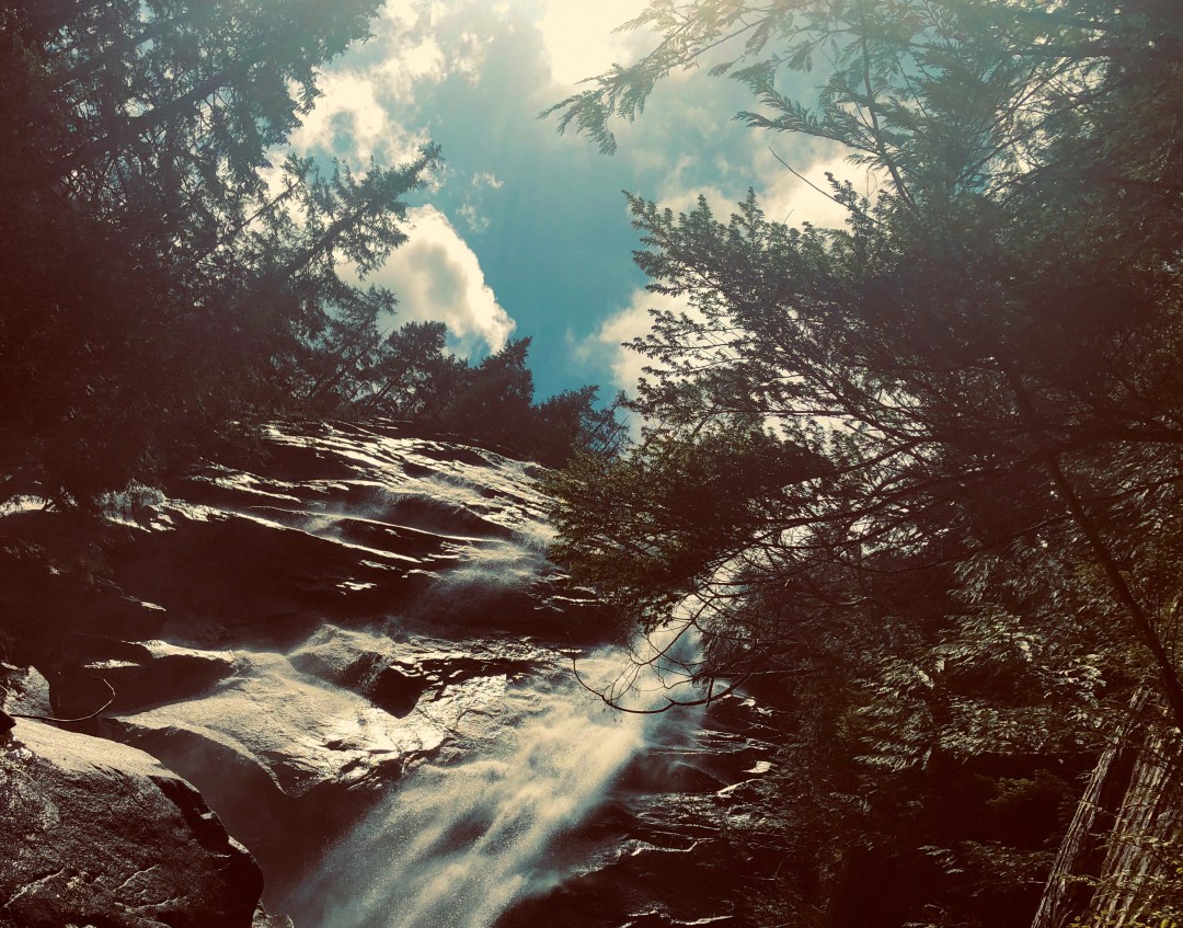 45AE9459-6396-4BC8-A66B-C80D1FDD9FA1