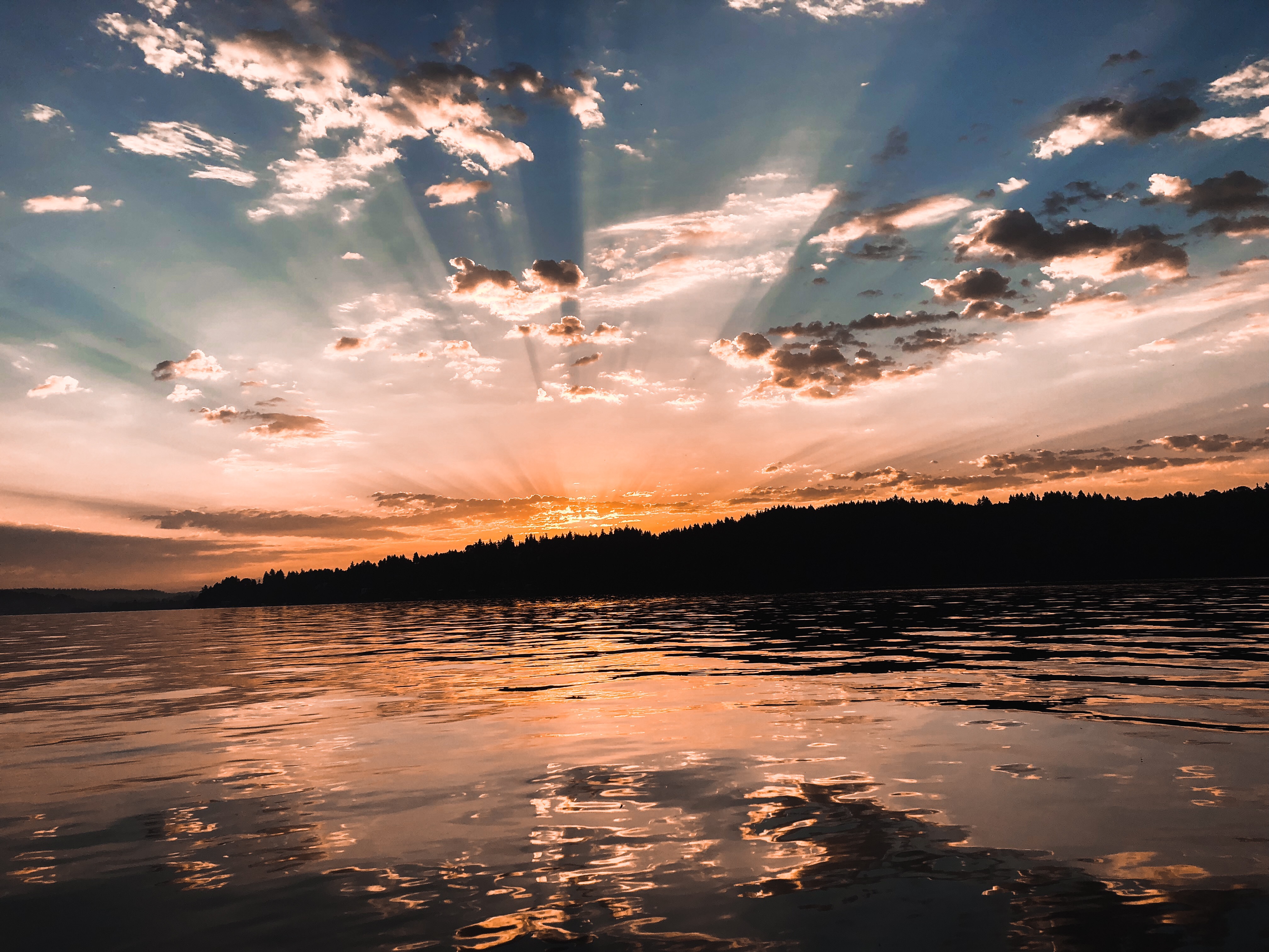 6131870D-6712-42D6-A9A8-6F3A558E9AE5 2