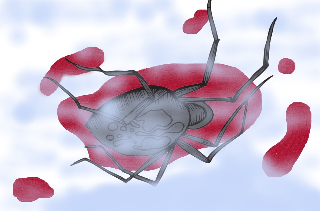 dead vector-spider_MkqlS9Ud_L