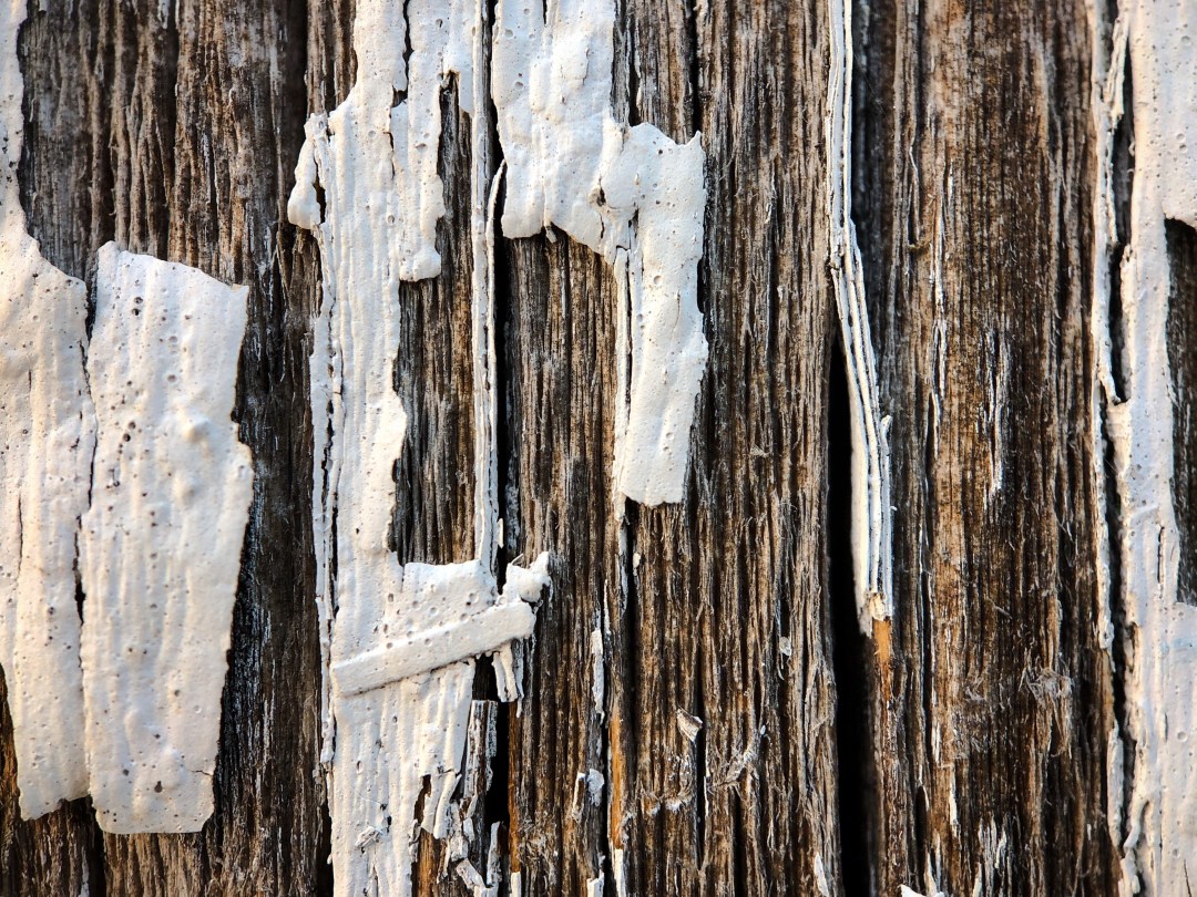 ABEAE4CF-291B-4AC6-838E-3A8255CC0D38