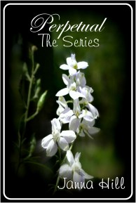 PERPETUAL THE SERIES 2017